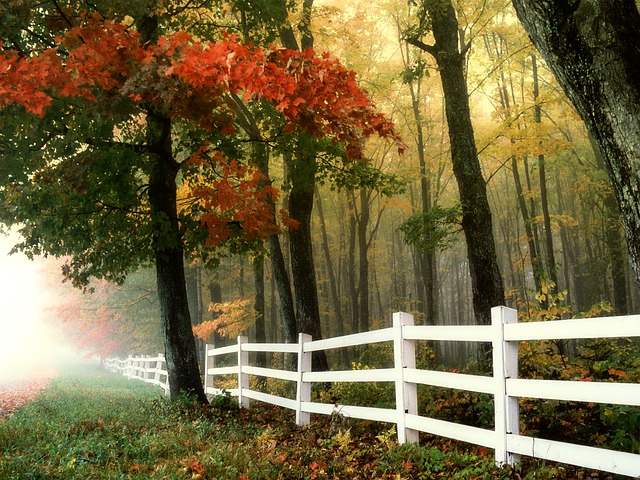 AAA Fence Master Fence White Wood Fence